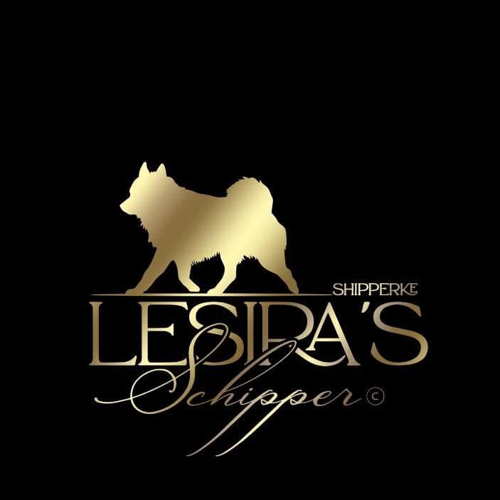 Logótipo de Lesira's Schipper