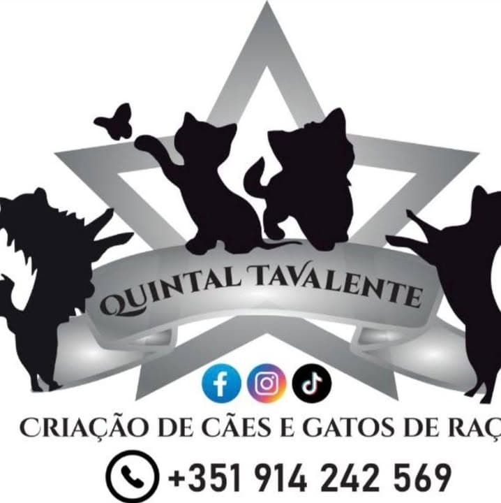 Logótipo de Quintal Tavalente
