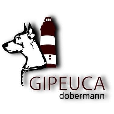 Gipeuca logo