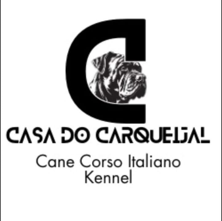 Logótipo de Casa do Carqueijal