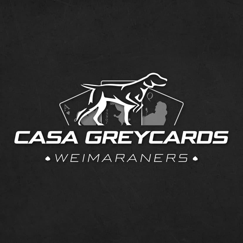 Casa GreyCards Weimaraners 