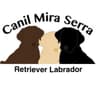 Canil Mira Serra avatar