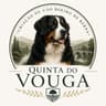 Quinta do Vouga avatar