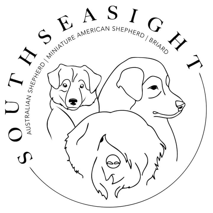 Logótipo de SouthSEASIGHT