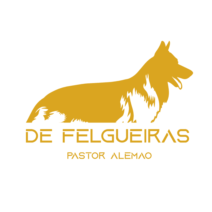 Logótipo de De Felgueiras