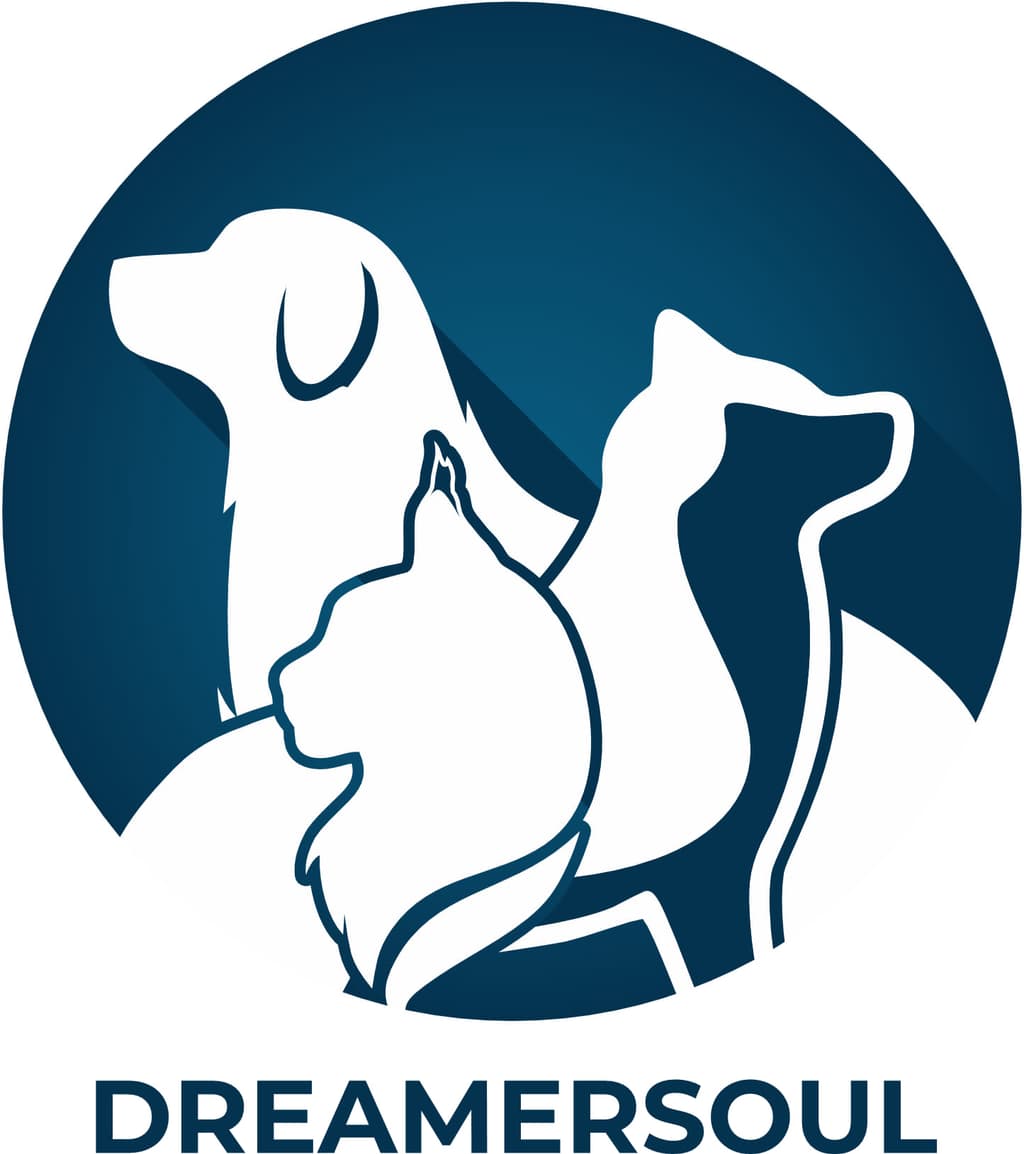 Dreamersoul logo