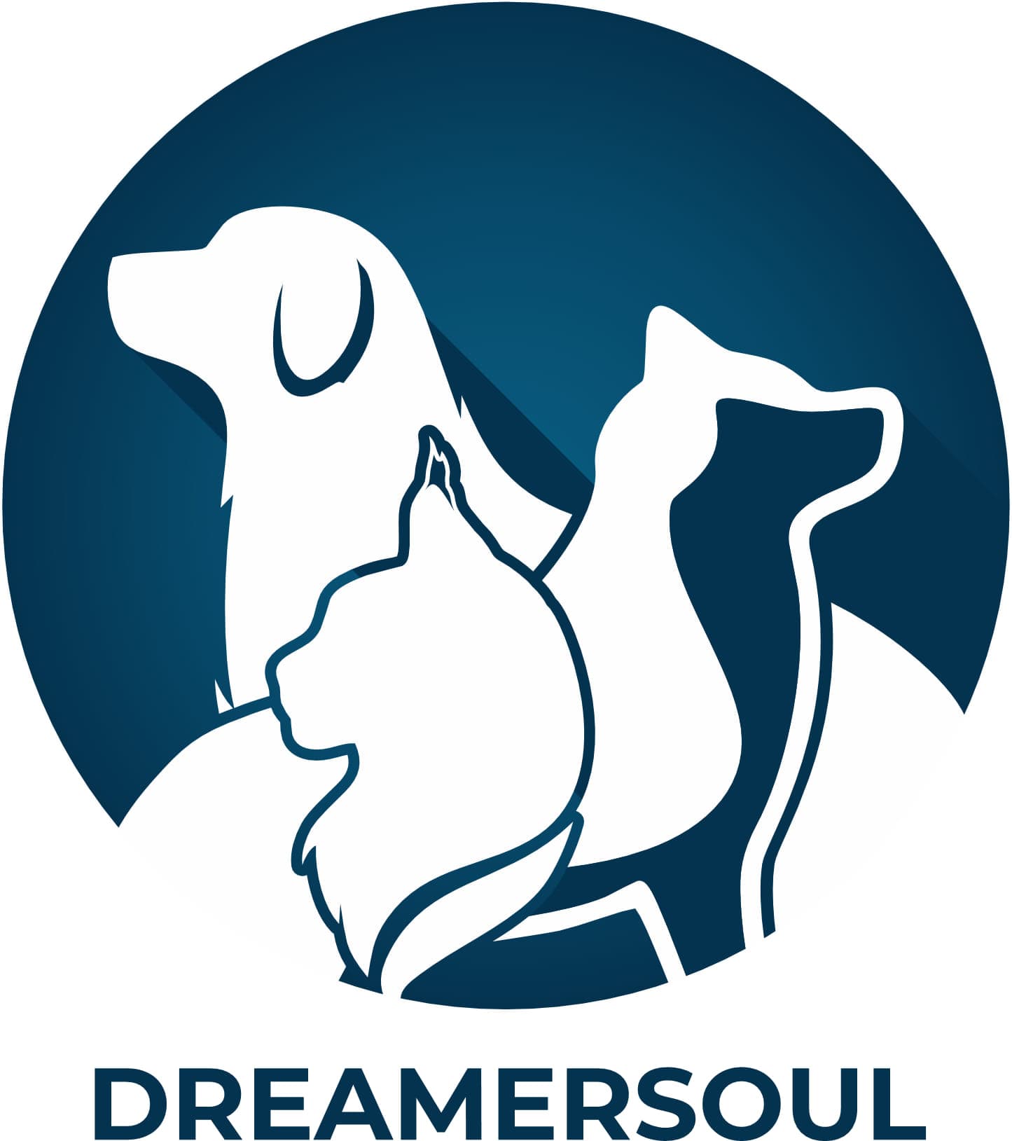 Dreamersoul logo