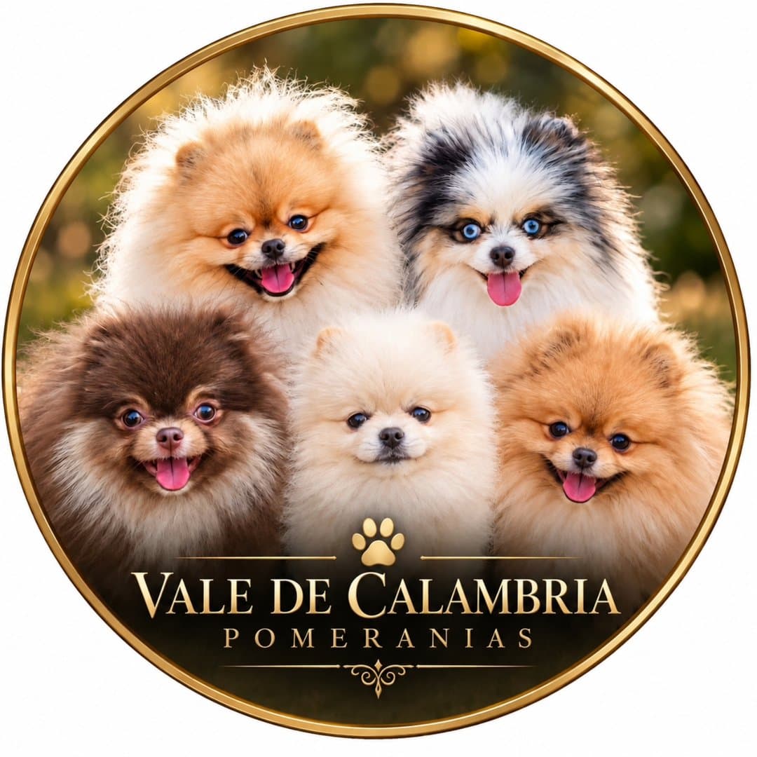 Logótipo de Vale de Calambria