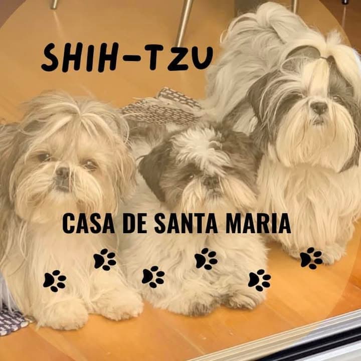 Logótipo de Casa de Santa Maria