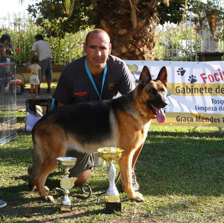 Logótipo de Atlantic Kennel