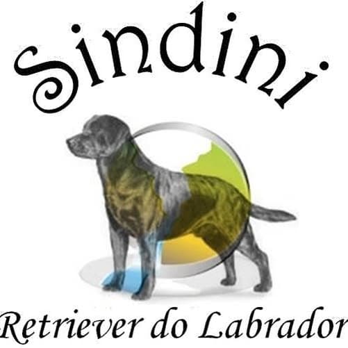 Logótipo de Sindini Kennel