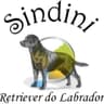 Sindini Kennel avatar