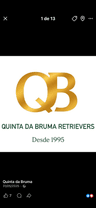 Quinta da Bruma  avatar