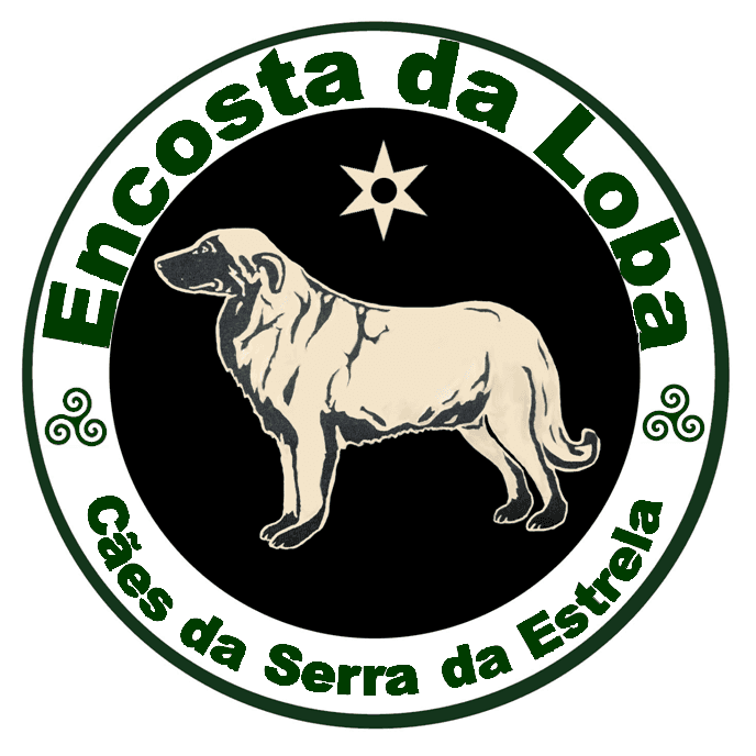 Logótipo de Encosta da Loba