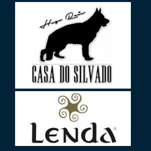 Casa do Silvado logo