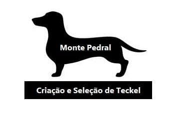 Monte Pedral logo