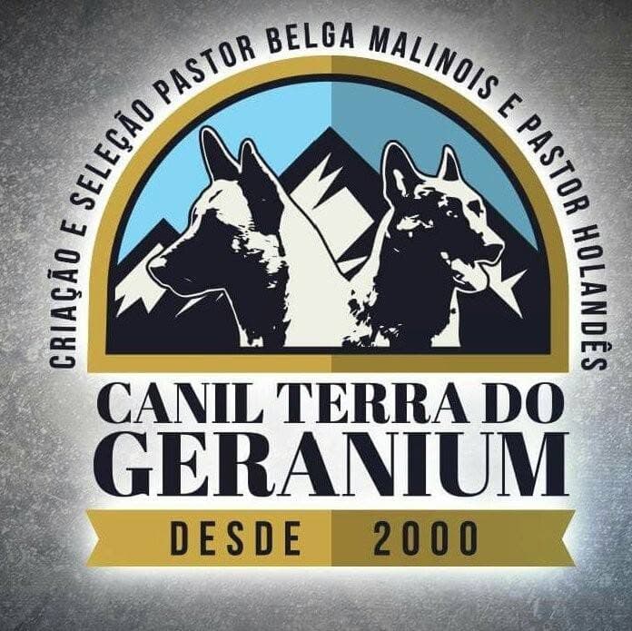 Logótipo de Canil Terra do Geranium