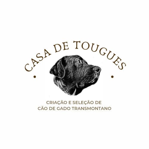 Logótipo de Casa de Tougues