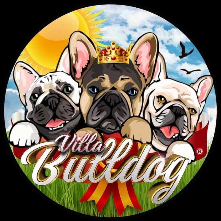 Logótipo de Villa Bulldog