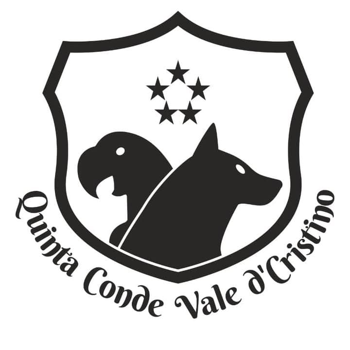Logótipo de Quinta Conde Vale D'Cristino