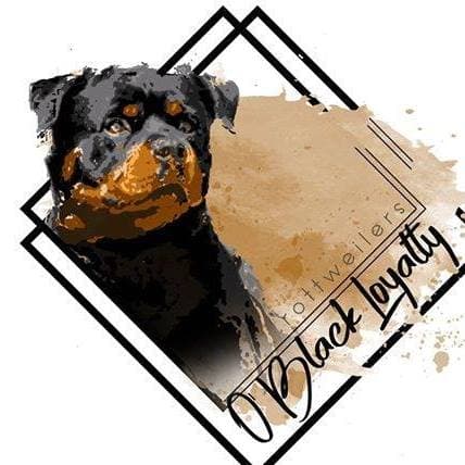 Logótipo de Rottweilers O'Black Loyalty