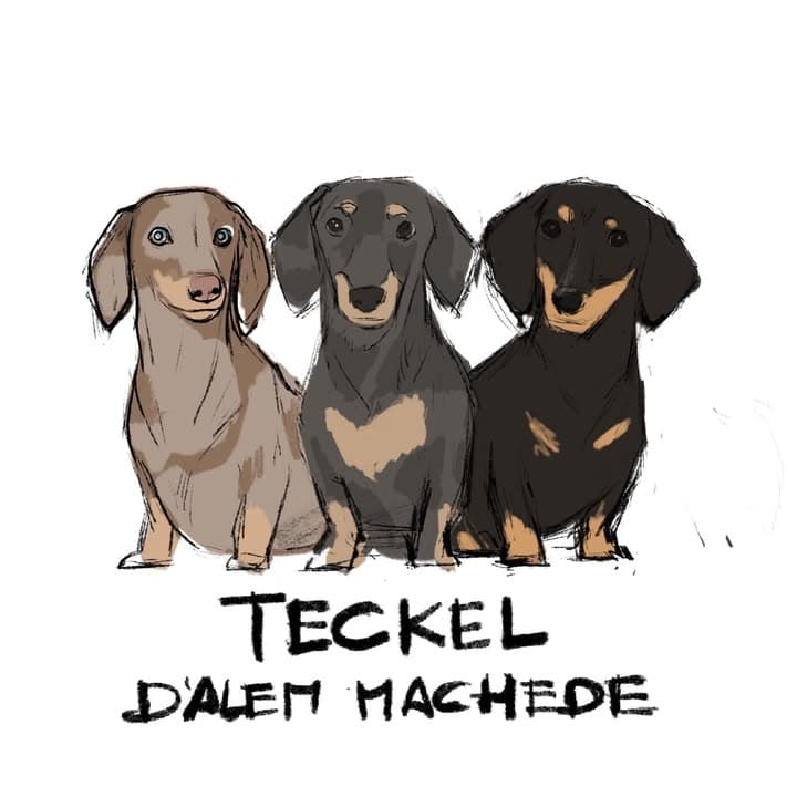 Logótipo de Teckel D'Alem Machede