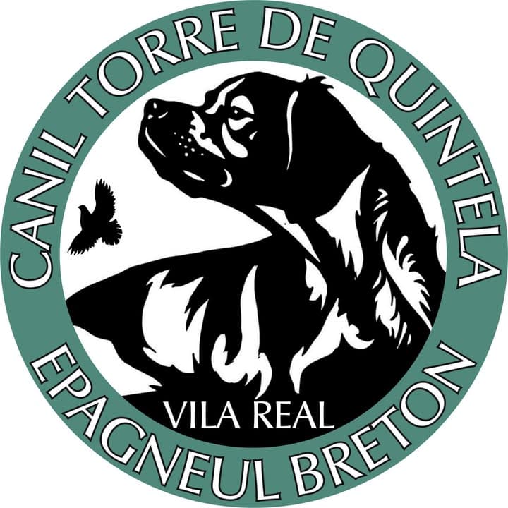 Logótipo de Canil Torre de Quintela