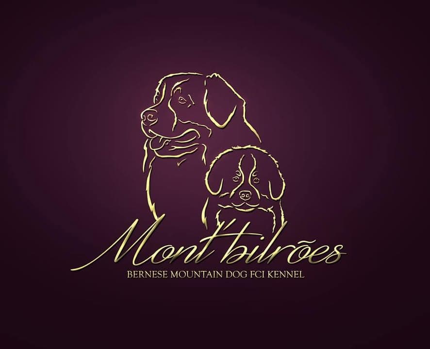 Logótipo de Mont'Bilrões