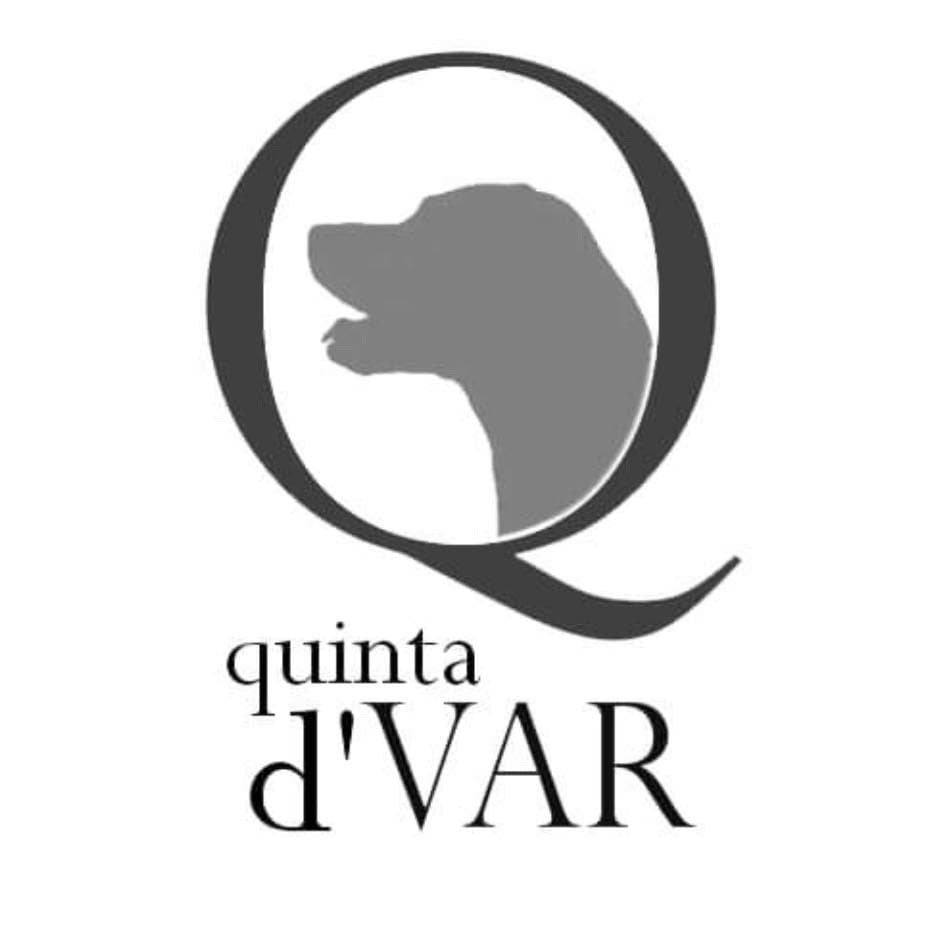 Quinta d'Var logo
