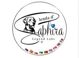 LENDA D’SAPHIRA 