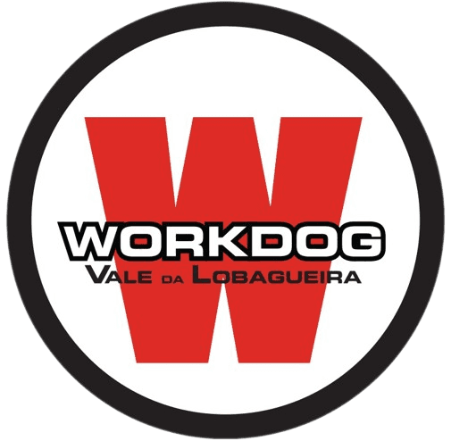 Do Vale da Lobagueira