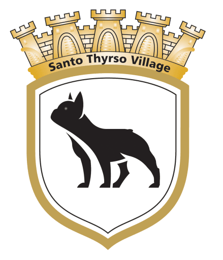 Santo Thyrso Village logo