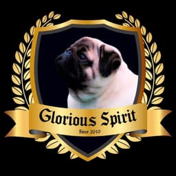 Glorious Spirit Pugs