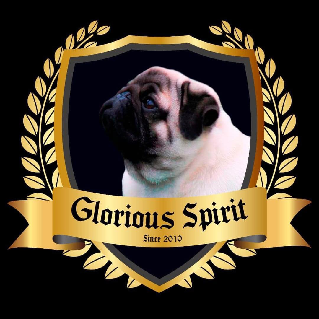 Glorious Spirit Pugs logo