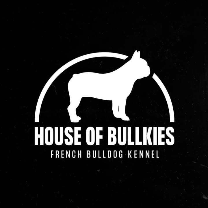 Logótipo de House of Bullkies