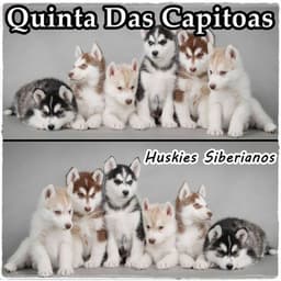 Quinta das Capitoas