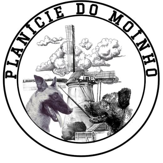 Logótipo de Planície do Moinho
