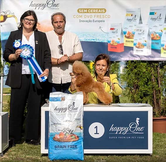 Fotografia de Heart & Spirit Kennel