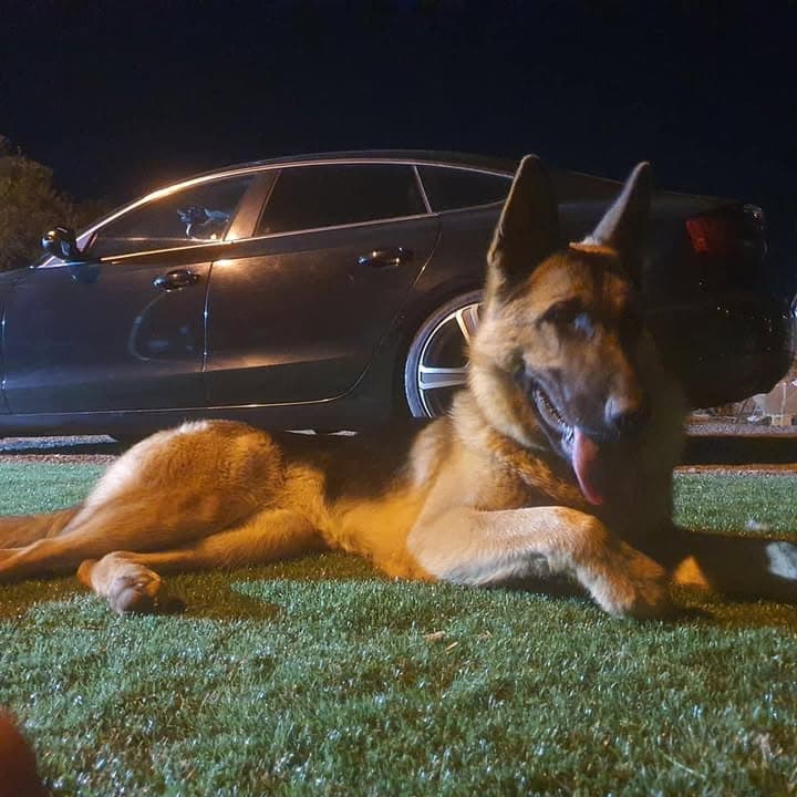 Logótipo de Quinta do Falica