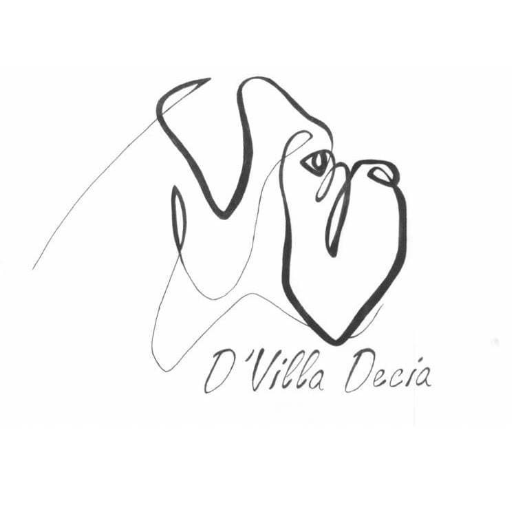 D'Villa Decia  logo