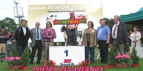 Lareanus