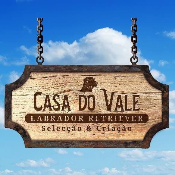 CASA do VALE logo
