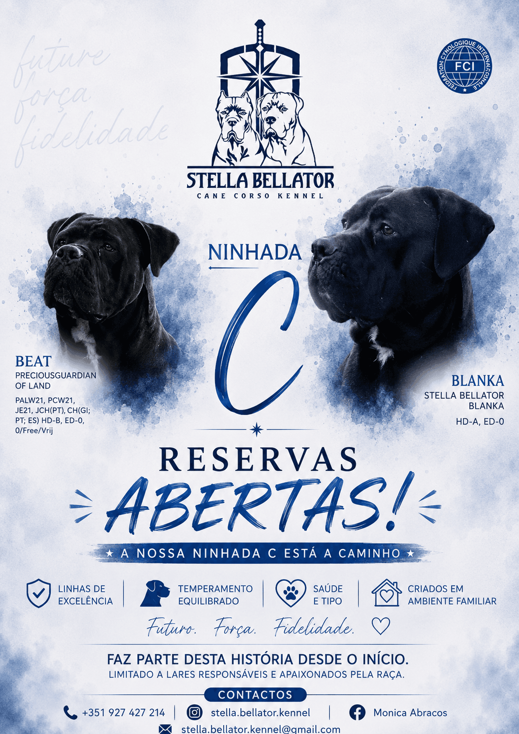 Stella Bellator Kennel galeria