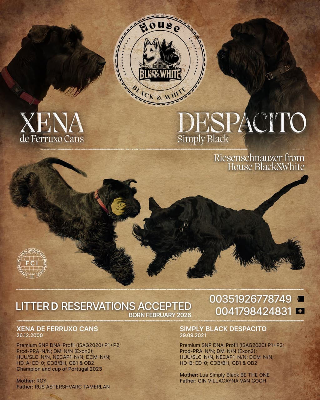 House Black&White galeria