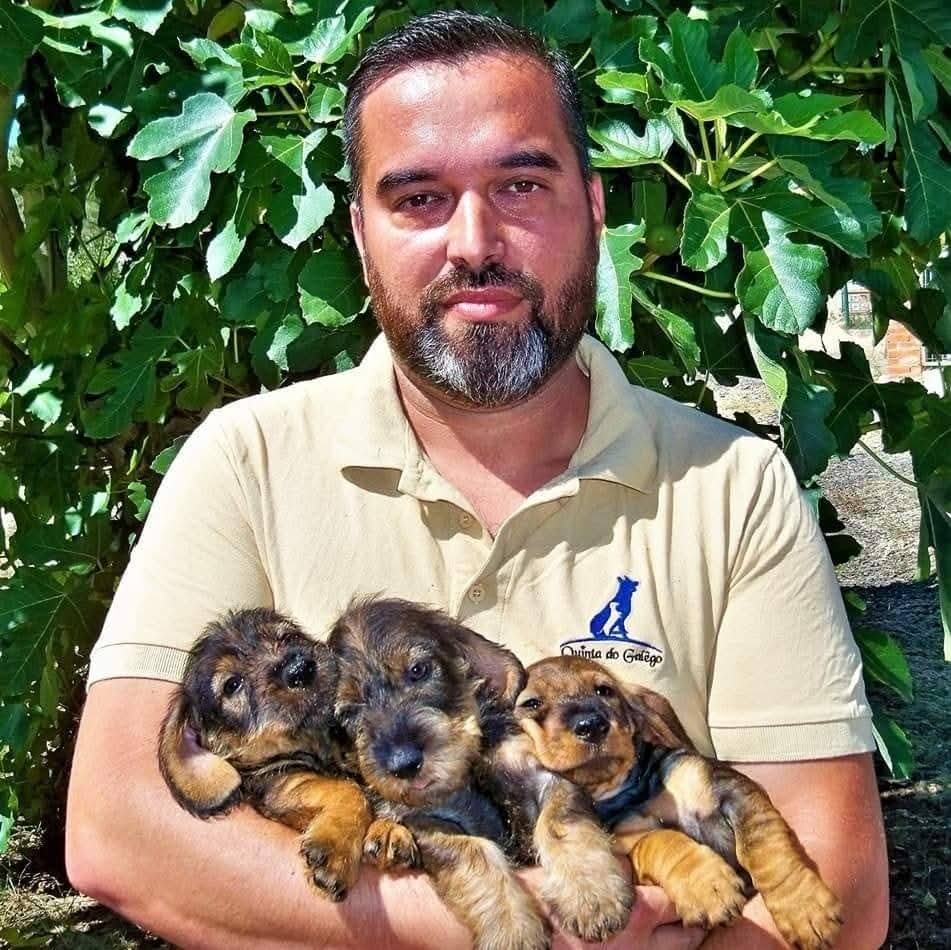 Quinta do Galêgo galeria