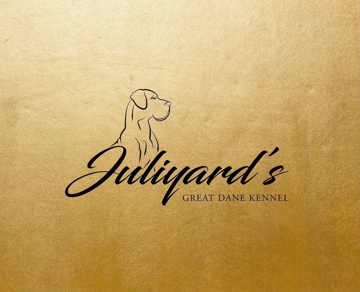 Juliyard's galeria