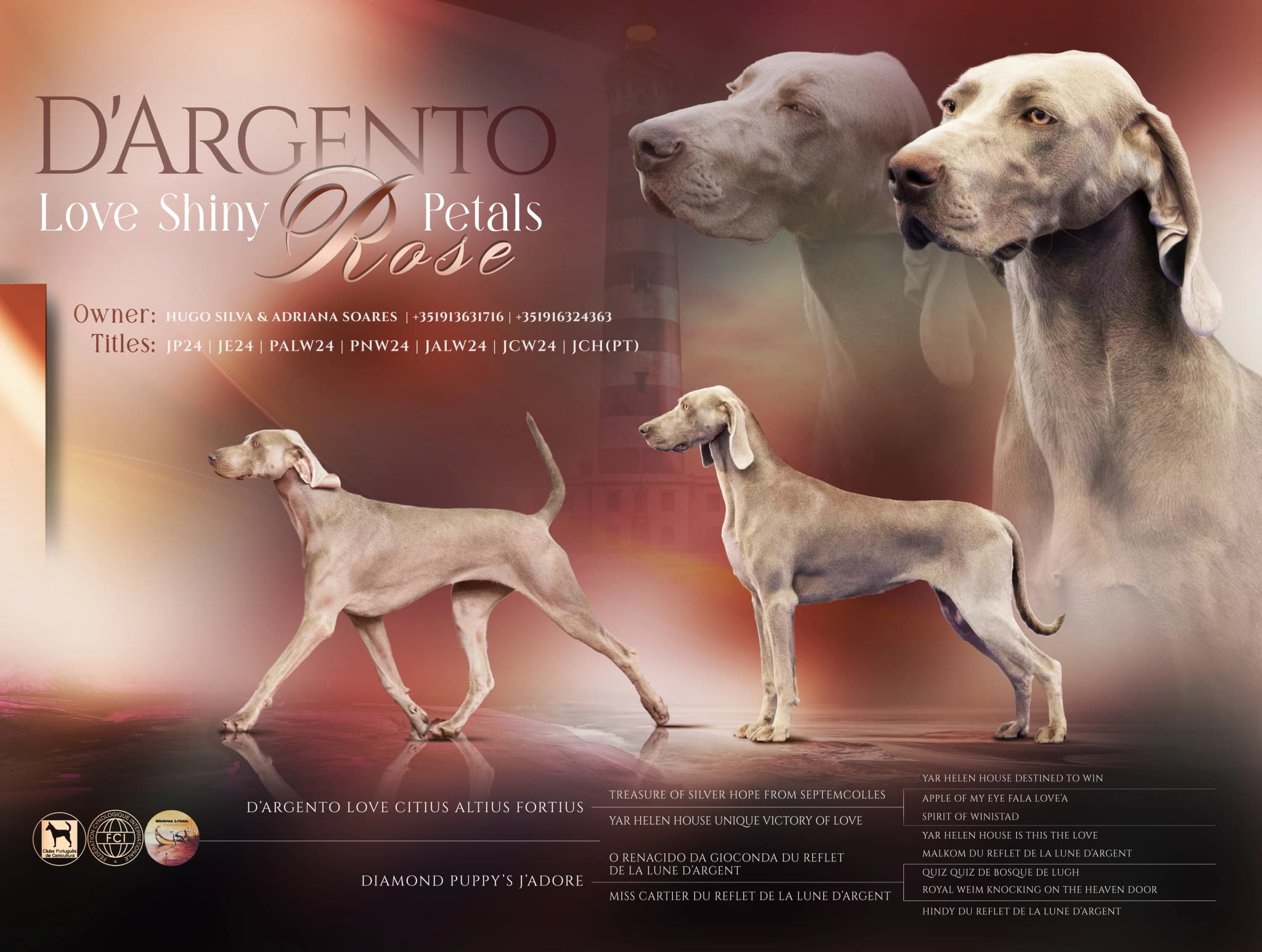 Progenitor D'Argento Love Shiny Rose Petals