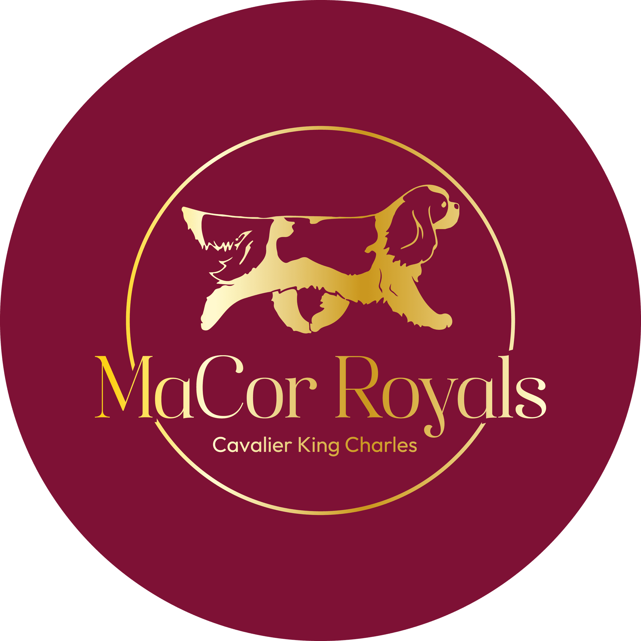 Maria, de MaCor Royals 