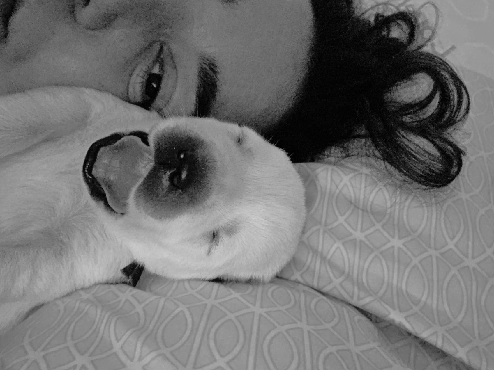 Fotografia de GEORGE DA LENDA D´SAPHIRA