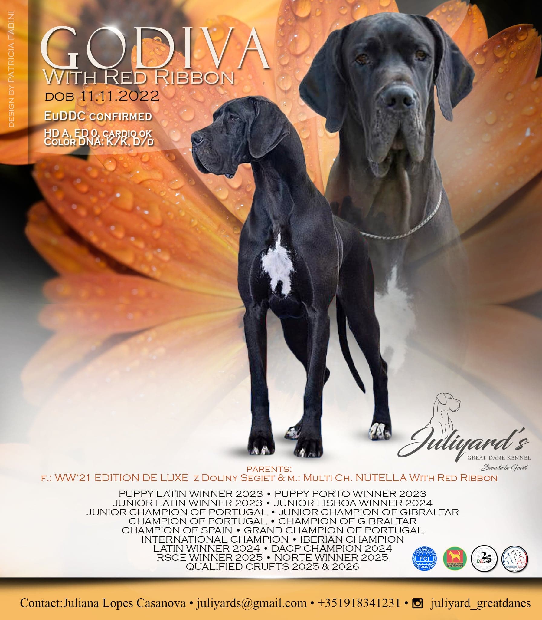 Progenitor MultiCh. CIB, Ch. IBER Godiva With Red Ribbon